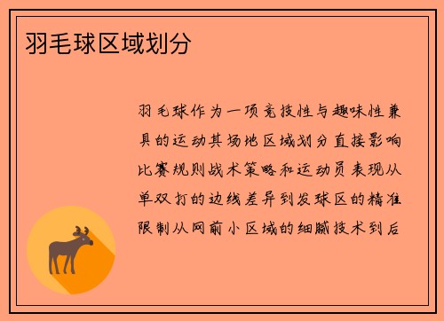 羽毛球区域划分